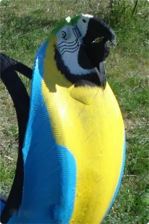 Parrot на гумата с ръцете си (ръце) Parrot на гумата с ръцете си