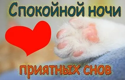 Пожелавам лека нощ