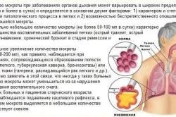 Morning кашлица