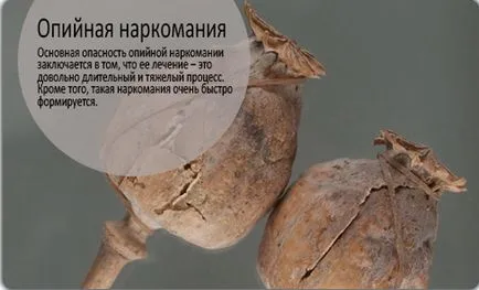 Видове лекарства, ефектът на опиати, барбитурати, психотропни средства, транквилизатори, третиране