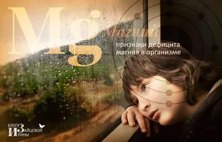 Какво храни съдържат магнезий