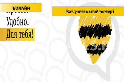 Знайте вашия номер на Beeline - 4 начина да разберете броя