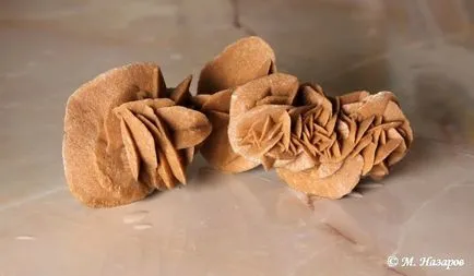 Истината за Сахара Rose