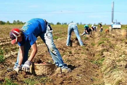 Пределния продукт на труда - какво е това, какво е неговото значение