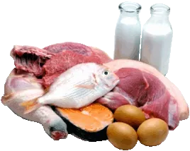 Продуктите, съдържащи много протеини
