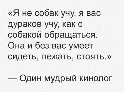 Професия кучешки къде да учат, описание на необходимото качество
