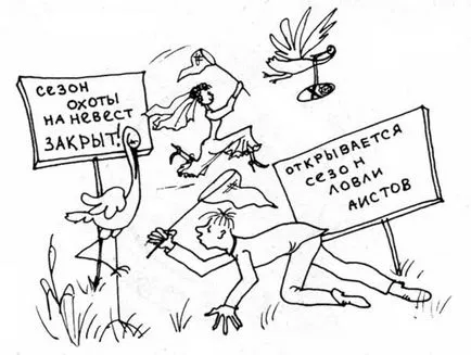 Смешни скрипт цена булка