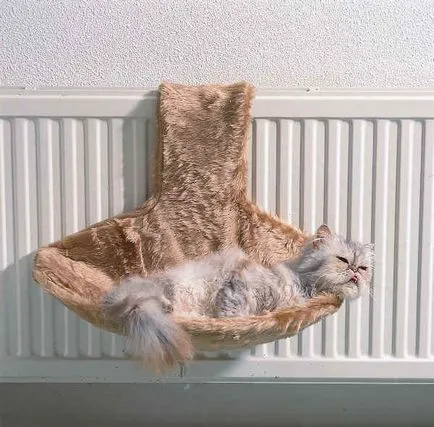 Приспособления за собственици на котки и кучета, които ще улеснят грижи за домашни любимци