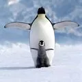 Bird () 7 букви - дума за търсене маска и решителност, за да отговори на кръстословици