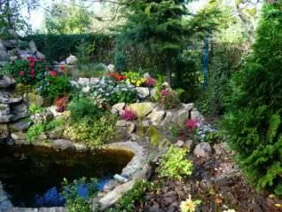Pond за алпийски слайд ръце избора на място, вида проект и производствени етапи