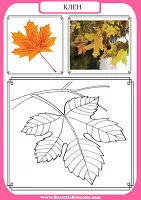 Дете структура развитие дърво