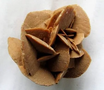 Desert Rose