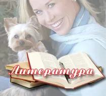 Направете лък с ръцете си за Йорк, Йоркширски териер