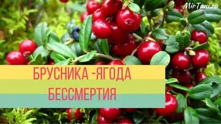 безсмъртие Бери
