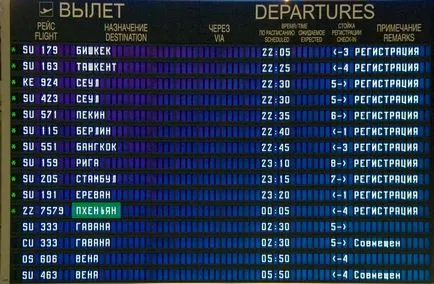 За първи път на летището - подробни инструкции за начинаещи със снимки
