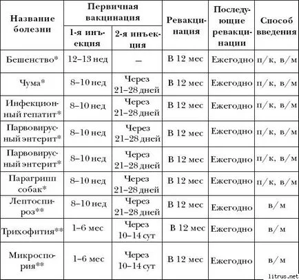 Невестулка в домашни грижи, съдържание, основно заболяване