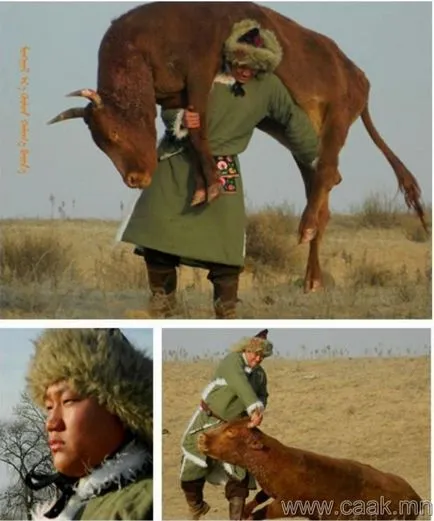 Колко хора могат да вдигат