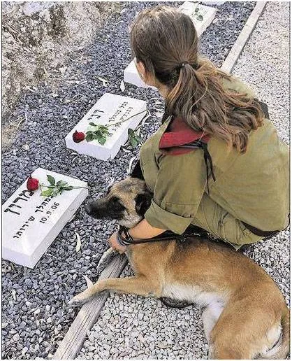Кучета за IDF услуга