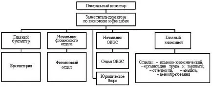 НХО корпоративни финансови услуги, задачи
