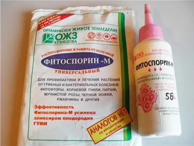 Суперфосфат прилагане на торове и инструкции!