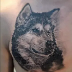 Татуировки кучета (стойност, скици, снимки), tattoofotos