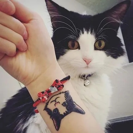 Cat татуировка за жени 100-те най-красивите опции в снимката (татуировка) Cat татуировка за жени 100-те най-красивите възможности за снимка