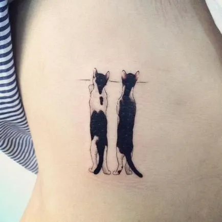 Cat татуировка за жени 100-те най-красивите опции за снимка (снимки) Cat татуировка за жени 100-те най-красивите възможности за снимка
