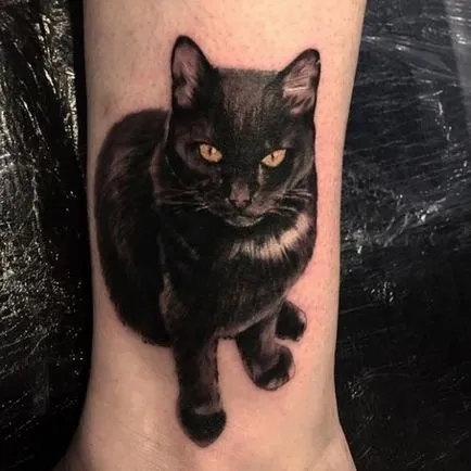 Cat татуировка за жени 100-те най-красивите опции в снимката (по желание) Cat татуировка за жени 100-те най-красивите възможности за снимка