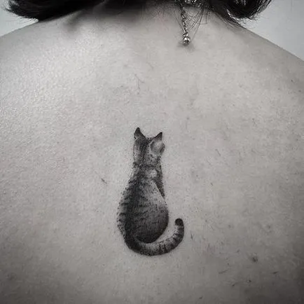 Cat татуировка за жени 100-те най-красивите опции в снимката (по желание) Cat татуировка за жени 100-те най-красивите възможности за снимка