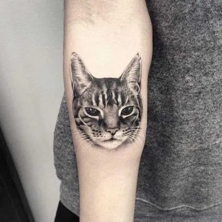 Cat татуировка за жени 100-те най-красивите опции в снимката (татуировка) Cat татуировка за жени 100-те най-красивите възможности за снимка