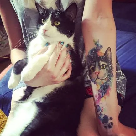 Cat татуировка за жени 100-те най-красивите опции в снимката (по желание) Cat татуировка за жени 100-те най-красивите възможности за снимка