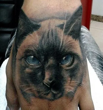 Cat татуировка за жени 100-те най-красивите опции в снимката (по желание) Cat татуировка за жени 100-те най-красивите възможности за снимка