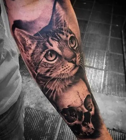 Cat татуировка за жени 100-те най-красивите опции в снимката (по желание) Cat татуировка за жени 100-те най-красивите възможности за снимка