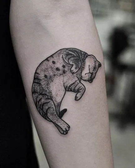 Cat татуировка за жени 100-те най-красивите опции в снимката (по желание) Cat татуировка за жени 100-те най-красивите възможности за снимка