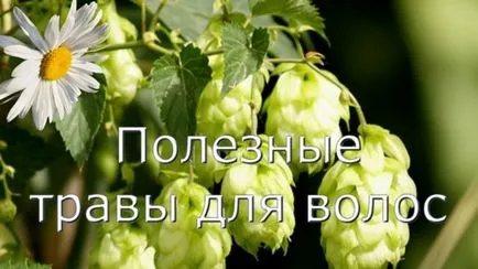 Билки за косопад от всеки трябва да се пие билкови чайове, ревюта рецепти