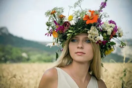 Билки за косопад от всеки трябва да се пие билкови чайове, ревюта рецепти