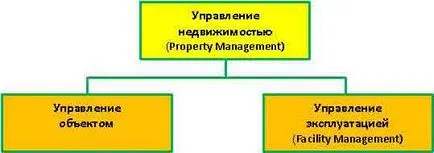 Управление на недвижими имоти - какво е това, Център за развитие на