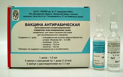 Инжекциите с бяс на хора - когато се изисква човек ваксинация