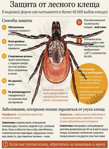 Bite енцефалит от кърлежи симптоми, лечение, последствията