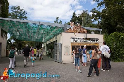 Зоопарк в Прага в подробности как да получите графика на зоологическата градина в Прага