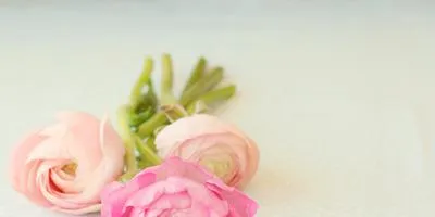 Грижа за цветя и цветарници