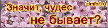 Водещо число