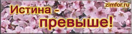 Водещо число