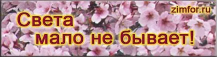 Водещо число