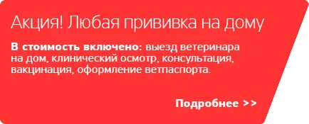 Ваксинирането на кученца, колко е цената на първото кученце ваксинации, ветеринар имунитет (цена) Ваксинирането на кученца, колко е цената на първите кученца, ваксинации, ветеринар имунитет