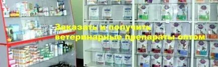 Ветеринарен портал - най-полезната информация за всички онези, които имат домашни любимци