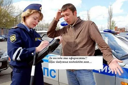 булка откуп стил гай 2