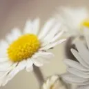 Всички сайтове за запознанства! нашия преглед