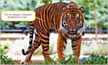 Всички етикети отварят програма, как да се върне