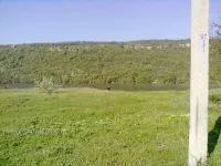 Цялата истина за теста-управлява автомобила в шоурума